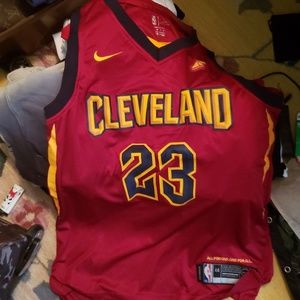 LeBron Cavs jersey